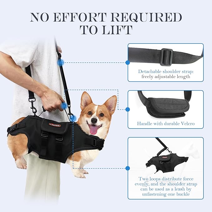 Dog Lift Harness, Full Body Support with Adjustable Control Handle for Medium Senior Dogs, Post-Surgery Recovery & Joint Problems (Oxford Cloth, M)-PawvioPets