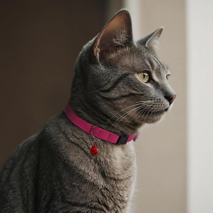 Breakaway Cat Collar Leather with Removable Bell - 13 Colors Available - Soft Adjustable Girl Boy Safety Lightweight Pet Kitten Collars Pink Brown Blue Green Red Orange Black (Pink)-PawvioPets