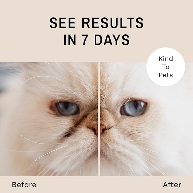 Eye Envy Tear Stain Remover Powder for Dogs and Cats. 100% Natural, Safe. Apply Around Eyes. Absorbs and Repels Tears. Keeps Area Dry. Treats The Cause of Staining. Made in The USA. (.5 oz)-PawvioPets