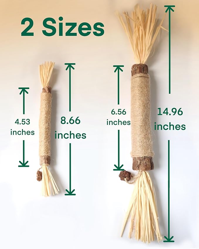14.96 Inches Huge Silvervine Sticks Cat Toys, Large Natural Catnip Kittens Chew Toy for Teeth Cleaning,Big Catmint Blend Stick, Dental Kitty Chews for Indoor(2 Pack)-PawvioPets