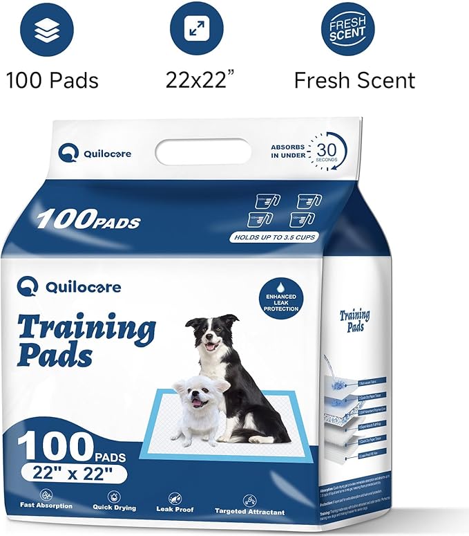 100 Count 22” x 22” Disposable Dog Pee Pads, Super Absorbent Leakproof Puppy Pads Quick Drying, Pee Pads for Dogs, Potty Dog Training Pads-PawvioPets