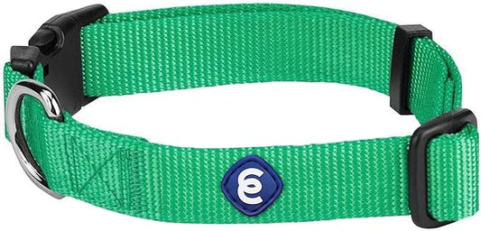Blueberry Pet Essentials X-Small Dog Collar in Emerald | Adjustable & Eco-Friendly Durable Nylon Strap | Classic Collar for X-Small Dogs, Boy & Girl Pets-PawvioPets