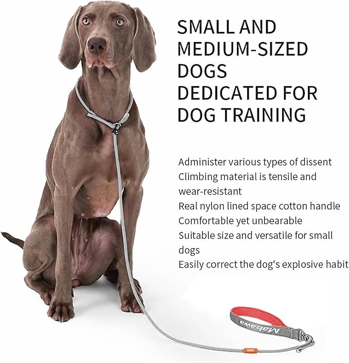 Dog Anti-Slip Leash 5FT with Metal Stopper - Durable No-Pull Training Lead for Small, Medium & Large Dogs - Comfortable Handle Nylon Rope, Tangle-Free Pet Walking Leash (Gray, 5 FT)-PawvioPets