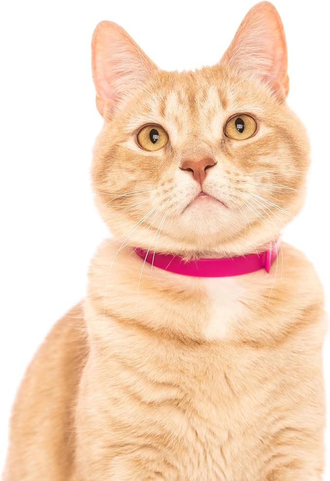 Cat Collar 2 Pack - Soft, Comfortable, and Lightweight Safety Breakaway Collar with Name Tag Ring for Outdoor Cats and Sensitive Skin Kittens by Nuvuq (6 ⅞" to 10 ¼", Pink)-PawvioPets