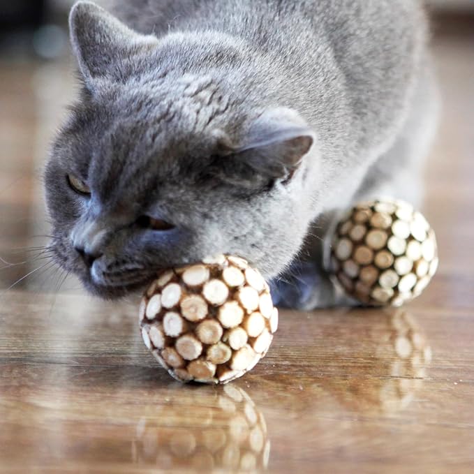 3PCS Cat Ball Toy,Silvervine Ball with Catnip Gall Fruit silvervine Sticks Powder Inside,Catnip Toys for Indoor Cats,Kitten Cleaning Teeth Cat Chew Toy-PawvioPets