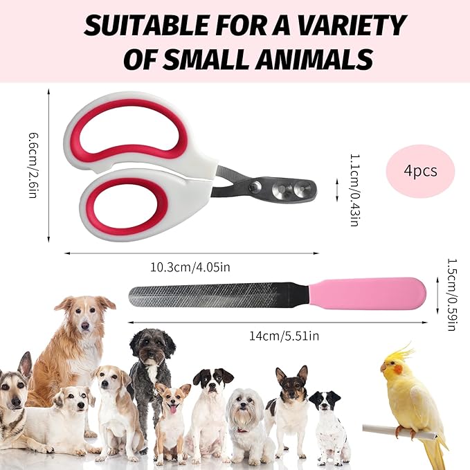 2 PCS Bearded Dragon Nail Clippers, Cat Nail Trimmer, Stainless Steel Cat Claw Clippers, with (White + Pink) Files * 2, Suitable for Reptiles, Novice Pet Families (Orange + Rose Red)-PawvioPets