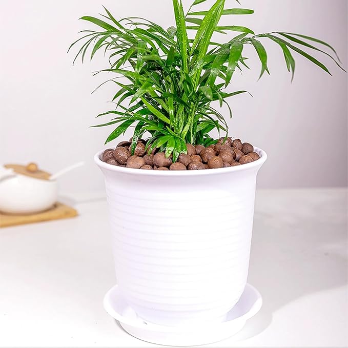 2 lbs Clay Pebbles for Plants, 8-12 mm Leca Clay Balls for Indoor Plants, Orchid Potting Mixes, Hydroponic Growing, Aquaponics, Potted Top Dressing and Drainage-PawvioPets