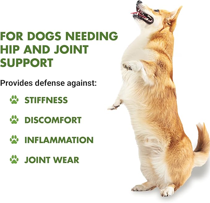 by Cool PET Holistics LVDJW-PR-04PK-16U Hip & Joint Dog Joint Supplement, 16 oz-PawvioPets