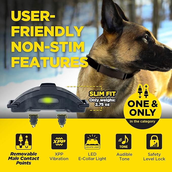 Dogtra ARC-X E-Collar for Dog Training - 3/4 Mile Range, for Dogs 15 lbs+, Slim Design, IPX9K Waterproof, 100 Stimulation Levels, Vibration, Tone, Rechargeable - Dog Owners and Professional Trainers-PawvioPets