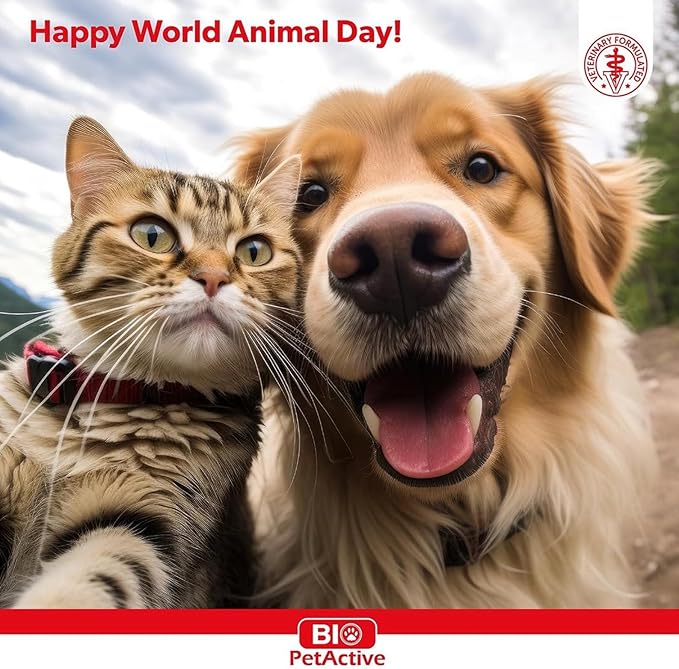 Bio Pet Active Kitten Milk Replacer - Easy-to-Digest Milk Powder with Vitamins, Minerals and Taurine for Kittens and Mothers, 7.05 oz-PawvioPets