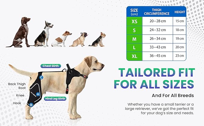 Comfortable Dog Knee Brace for Both Hind Legs with Harness - for ACL Tear, Luxating Patellae, Osteoarthritis & Instability - for Recovery & Injury Prevention in Active/Aging Dogs - (Small)-PawvioPets