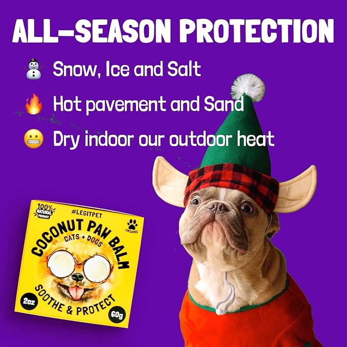 Coconut Paw Balm for Dogs by legitpet-PawvioPets