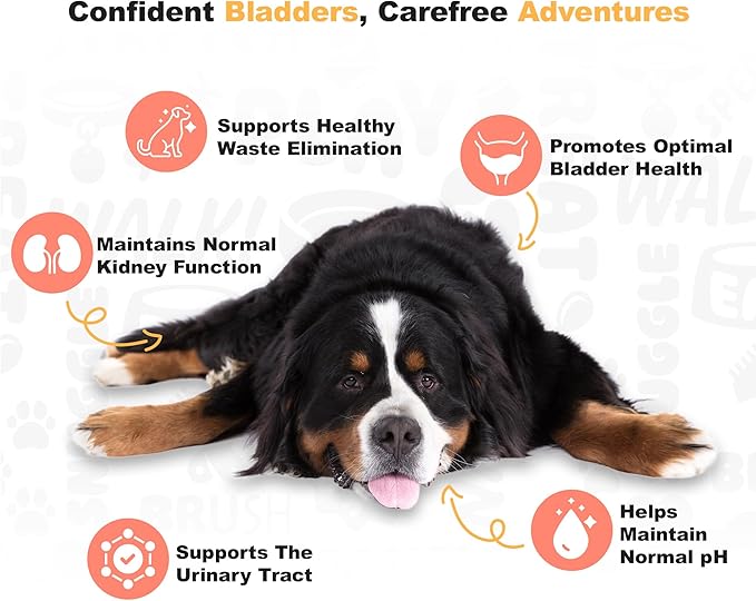 Doggie Dailies Cranberry Supplement for Dogs - Urinary Tract, Bladder & Kidney Support for Dogs - Cranberry for dogs with Marshmallow Root, Licorice Root & Apple Cider Vinegar (Chicken) 225 Soft Chews-PawvioPets