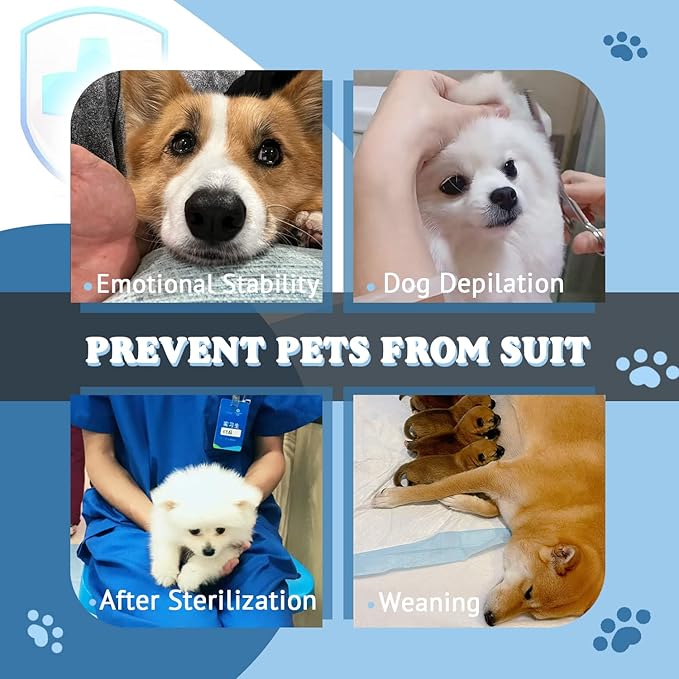 Breathable Dog Surgery Recovery Suit for Male/Female, Professional Dog Recovery Onesie with Zipper After Spay Abdominal Wounds, Anti Licking Cone E-Collar Alternative for Small Medium Large Dog-PawvioPets