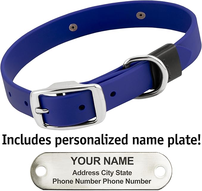 Biothane Custom Dog Collar – Waterproof, Stink-Proof Personalized Collar with Name & Phone Number – Durable, Many Sizes and Colors – Assembled in USA (Royal Blue)-PawvioPets