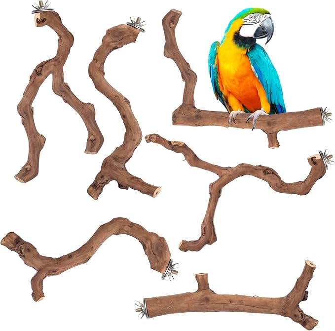 6-Piece Premium Bird Perch Stand with Natural Grape Wood Branch, Paw Grinding Fork, Chewing Stick, Cage Accessories for Parakeets, Budgies, Cockatiels, Finches, Lovebirds-PawvioPets
