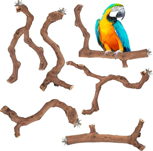 6-Piece Premium Bird Perch Stand with Natural Grape Wood Branch, Paw Grinding Fork, Chewing Stick, Cage Accessories for Parakeets, Budgies, Cockatiels, Finches, Lovebirds-PawvioPets