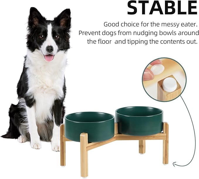 Ceramic Raised Double Bowls Set with Stand, Food & Water Bowls for Medium Breed Dogs, Weighted Dog Dishes, Pet Bowl(7.3'',41OZ, Green)-PawvioPets