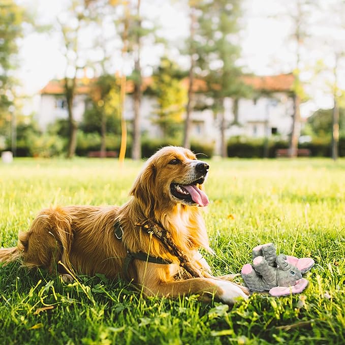 DODODOLA Dog Toys Puppy Toys Cute Squeaky Elephant Dog Toy with Crinkle Paper Stuffed Plush Animal to Keep Them Busy for Small Medium Large Dogs-PawvioPets