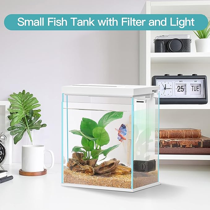 Betta Fish Tank, 2 Gallon Glass Aquarium Starter Kit, Small Fish Tank with Filter and Light.-PawvioPets