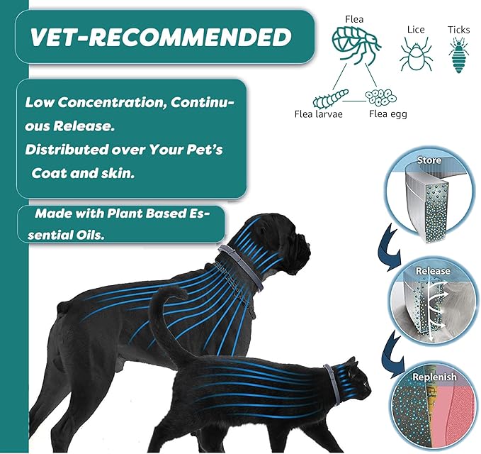 Flea and Tick Collar for Cats. Offers 4 * 6 Months of Protection. Made from Quality Essential Oils. Waterproof and Natural. Protects Kittens. Free Flea Comb and Tick Tweezers. (4 Pack - 13.8 inches)-PawvioPets
