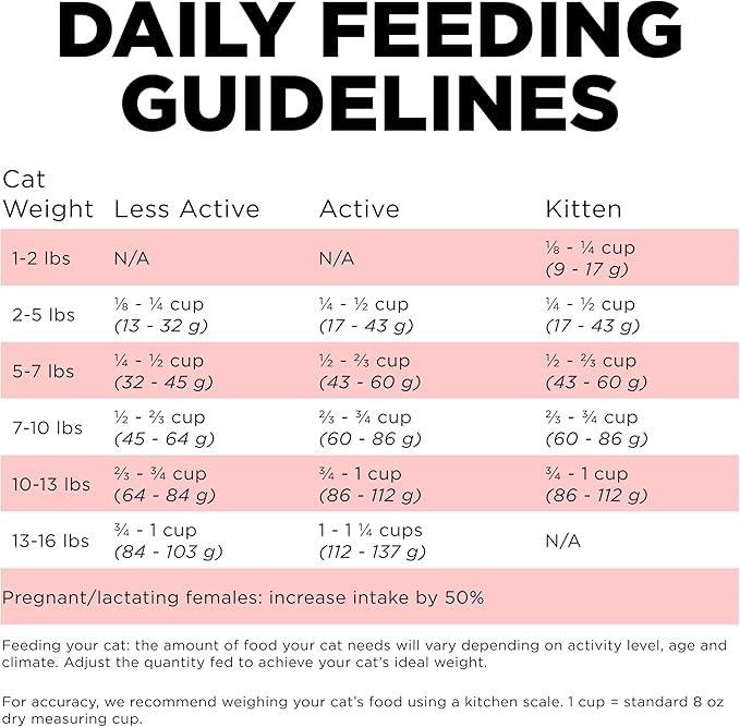 Go! Solutions Carnivore, Grain-Free, Protein Rich Dry Cat Food, Salmon and Cod Recipe, 3 lb Bag-PawvioPets