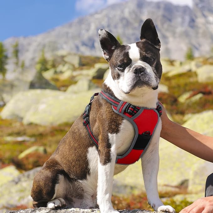 Eagloo Dog Harness Medium Sized Dog, No Pull Service Vest with Reflective Strips and Control Handle, Adjustable and Comfortable for Easy Walking, No Choke Pet Harness with 2 Metal Rings, Red, M-PawvioPets