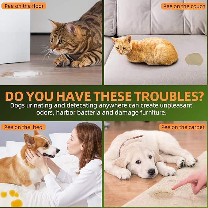 Dog Potty Training Spray for Dogs and Puppies - Go Here Attractant Spray to Pee and Poop in One Spot,Safe & Effective Puppy Pee Spray Indoor & Outdoor-Dog Training & Housebreaking Aid -100ml-PawvioPets