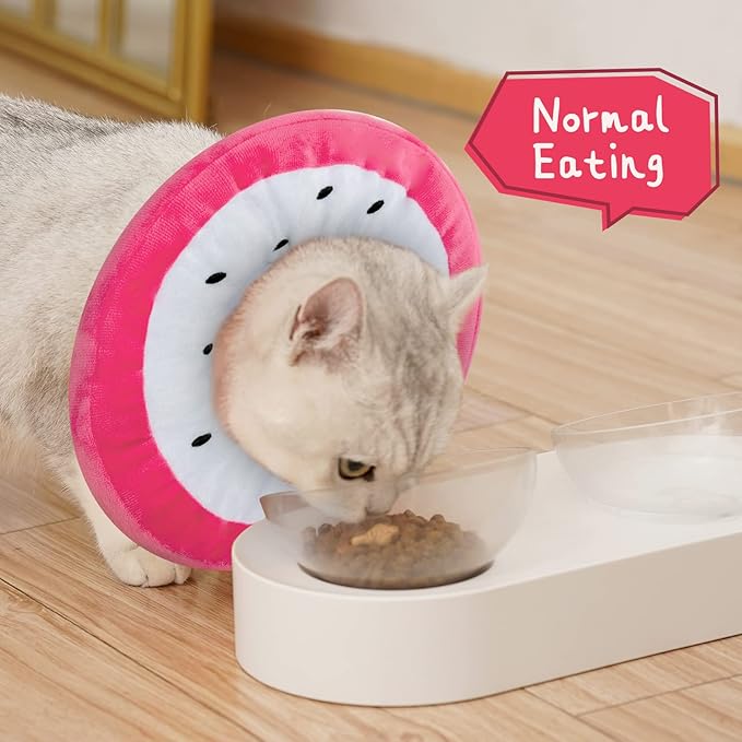ANWA Adjustable Cat Cone Collar Soft, Cute Cat Donut Collar After Surgery, Kitten Recovery Cones to Stop Licking-PawvioPets
