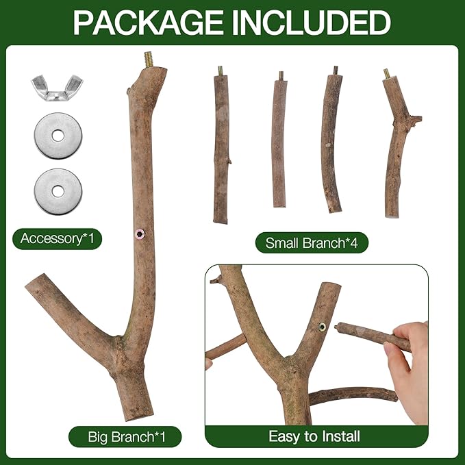 Bird Perch Stand, Natural Vitex Negundo Wood Parrot Perch Bird Cage Branch Perch, Accessories for Parakeets, Cockatiels, Conures, Macaws, Finches, LoveBirds (12" Length)-PawvioPets