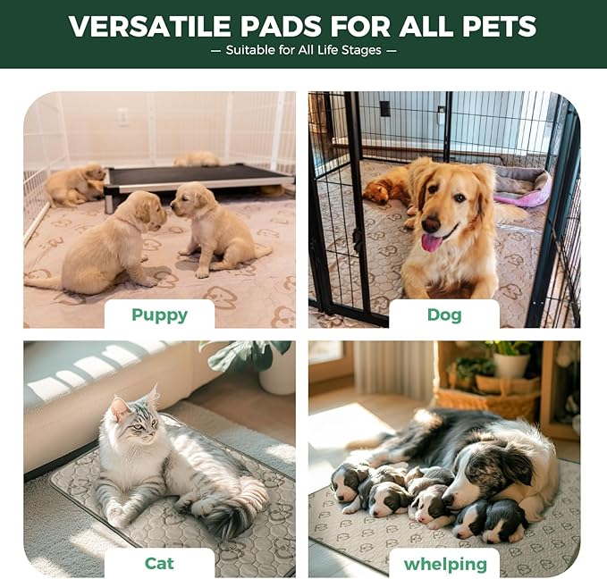 FXW Washable Pee Pads for Dogs, Puppy Pads with Super Absorbent, Specifically Designed for Potty Training, Square, 39" x 39", 2 Packs-PawvioPets