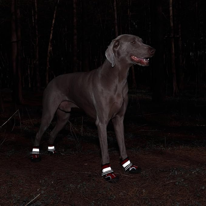 Dog Shoes, Waterproof Dog Boots & Paw Protectors with Anti-Slip Sole, 4pcs/Set Pet Dog Booties, Reflective Dog Shoes for Small Medium Large, Winter Snowy Summer Hot Pavement (Red, 5# (M))-PawvioPets