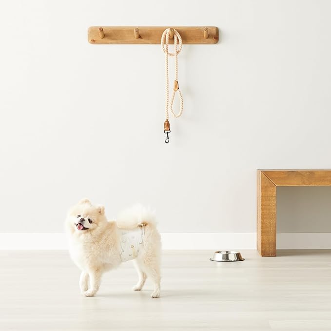 Amazon Basics Male Dog Diapers, 30 Count, X-Small, Ultra Absorbent Disposable Wrap with Secure Fit, Leakproof and Comfortable-PawvioPets