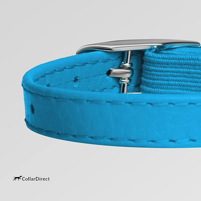 CollarDirect Leather Cat Collar, Kitten Collar with Removable Bell Black Blue Red Orange Lime Green (6-7 Inch, Light Blue)-PawvioPets