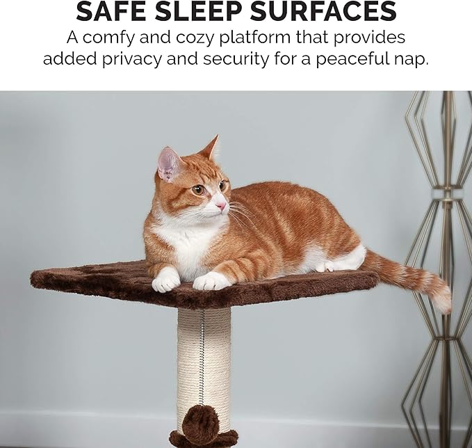 Furhaven 22.5" Tall Cat Tree for Indoor Cats, Ft. Sisal Scratching Post, Plush Ball Toy, & Busy Box Toy - Tiger Tough Scratching Post Interactive Playground - Brown, One Size-PawvioPets