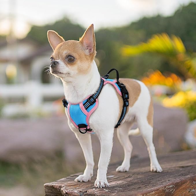 Eagloo Small Dog Harness No Pull, Service Vest with Reflective Strips and Control Handle, Adjustable and Comfortable for Walking, No Choke Pet Harness with 2 Metal Rings, Pink & Blue, XS-PawvioPets