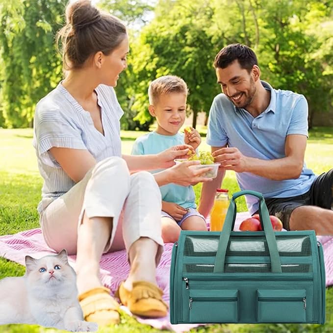 Cat Carrier Bag,Soft Sided Ventilated Pet Carrier for Small Dog Airline Approved Travel Puppy Carrier with Breathable Mesh, Foldable Portable for Outdoor Car-PawvioPets
