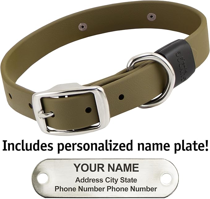 Biothane Custom Dog Collar – Waterproof, Stink-Proof Personalized Collar with Name & Phone Number – Durable, Many Sizes and Colors – Assembled in USA (Olive Green)-PawvioPets