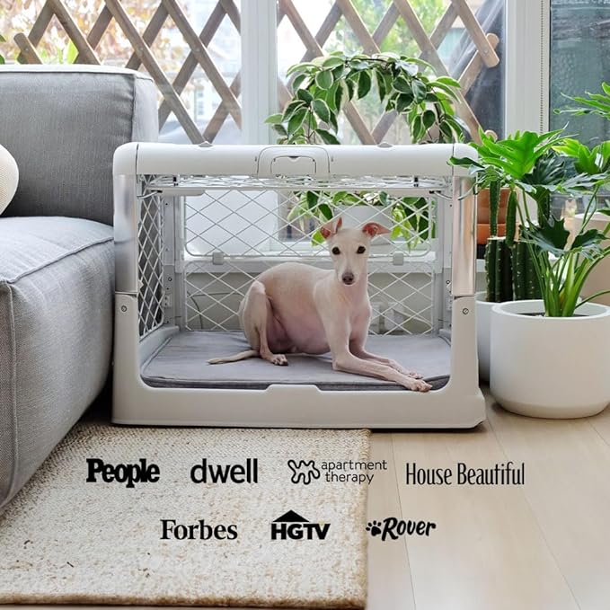 DIGGS Revol Collapsible Dog Crate with Wheels - Premium Portable Dog Crate - Safe, Stylish, and Convenient Indoor Kennel (Ash, Medium)-PawvioPets