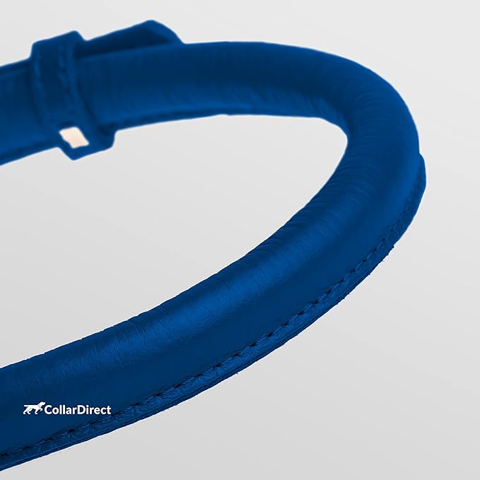 CollarDirect Rolled Leather Dog Collar, Soft Padded Round Puppy Collar, Handmade Genuine Leather Collar Dog Small Large Cat Collars 13 Colors (15-19 Inch, Deep Blue Textured)-PawvioPets