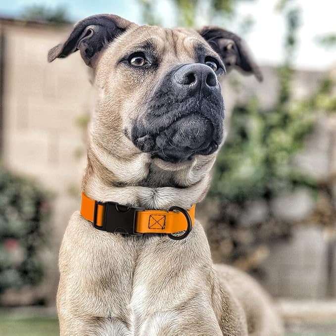 Dogline Biothane Waterproof Dog Collar with Quick Release Buckle Strong Coated Nylon Webbing with Odor- Proof for Easy Care Easy to Clean Fits Small Medium Large Dogs, Tangerine Orange 5/8" W 9-14" L-PawvioPets