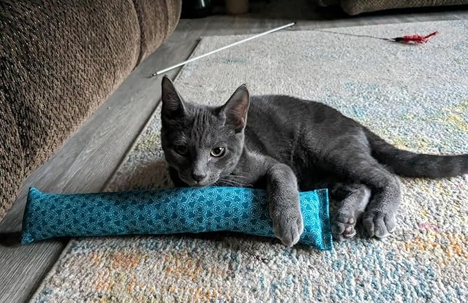 15" Catnip Cat Kicker Toys/Kitty Kick Sticks/Cat-Nip Kick Sticks (Emerald Green) (Kickers Filled with 1 oz Premium Canadian Catnip)-PawvioPets