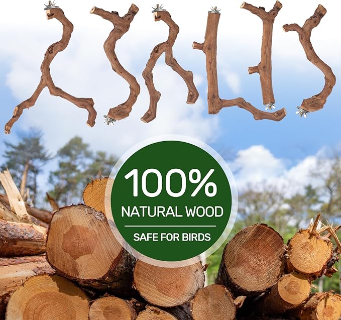 6-Piece Premium Bird Perch Stand with Natural Grape Wood Branch, Paw Grinding Fork, Chewing Stick, Cage Accessories for Parakeets, Budgies, Cockatiels, Finches, Lovebirds-PawvioPets