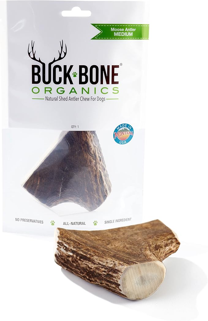Buck Bone Organics Dog Chews, Moose Antlers for Dogs, Long Lasting Dog Bones for Aggressive Chewers, All Natural, No Preservatives, Wild Shed in The USA (Medium)-PawvioPets