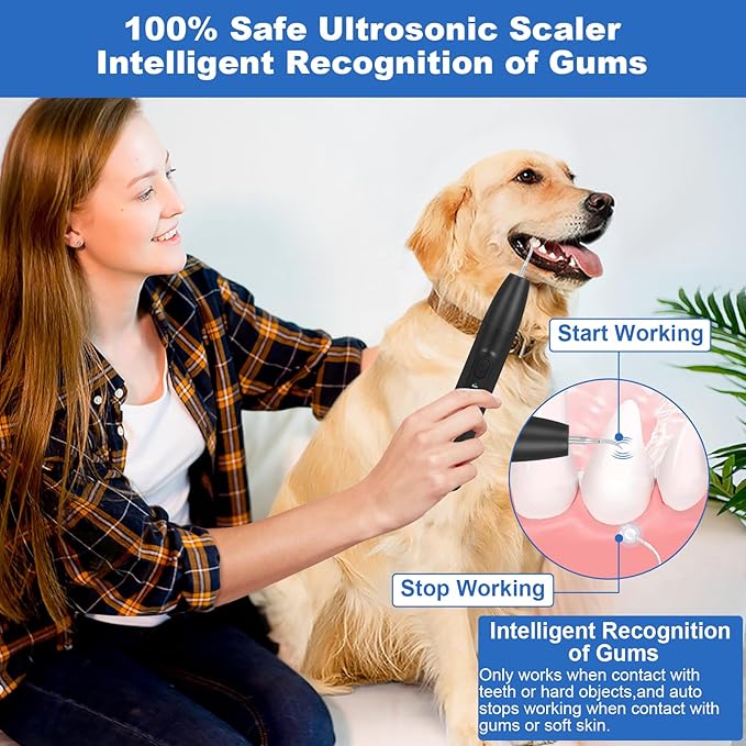 Dog Tooth Brushing Kit,Dogs Teeth Cleaning Kit with Light,3 Modes Doggie Plaque and Tartar Remover for Teeth,Low Noise Dog Teeth Cleaner and Dental Care, Black1-PawvioPets