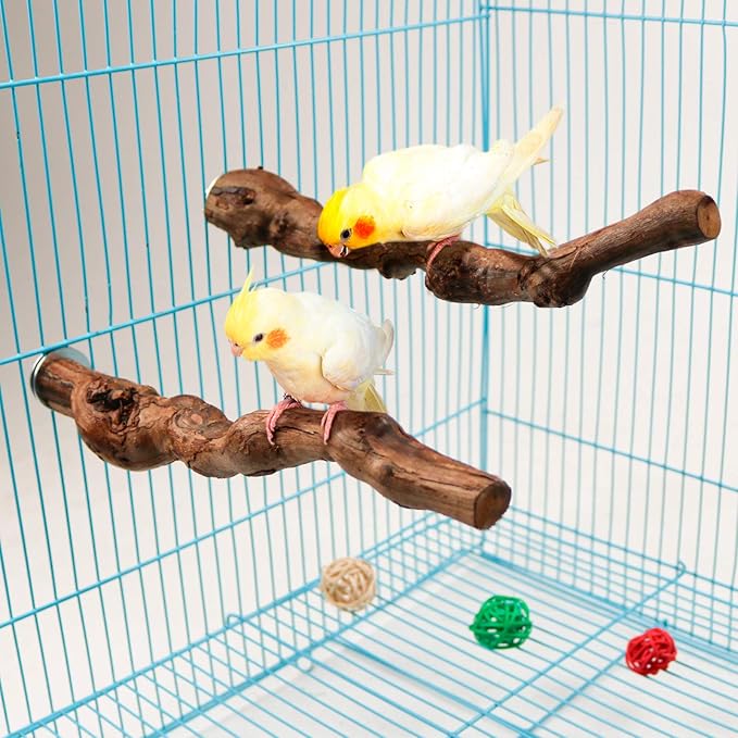 2 Packs Parrot Perch Stand,Natural Grapevine Wood Perch Parrots Cage Perch Toys Suitable for Small or Medium Parrots Parakeets Cockatiels Conures Lovebirds in Cage Accessories Supplies (Style-1)-PawvioPets