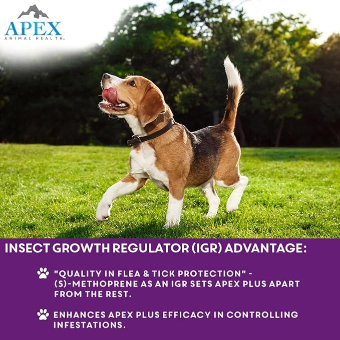 Apex Plus Flea and Tick Prevention for Dogs | Large (45-88 lbs) | 6-Month Supply | Dog Flea and Tick Treatment | 24-Hour Activation, Waterproof, 30-Day Protection-PawvioPets