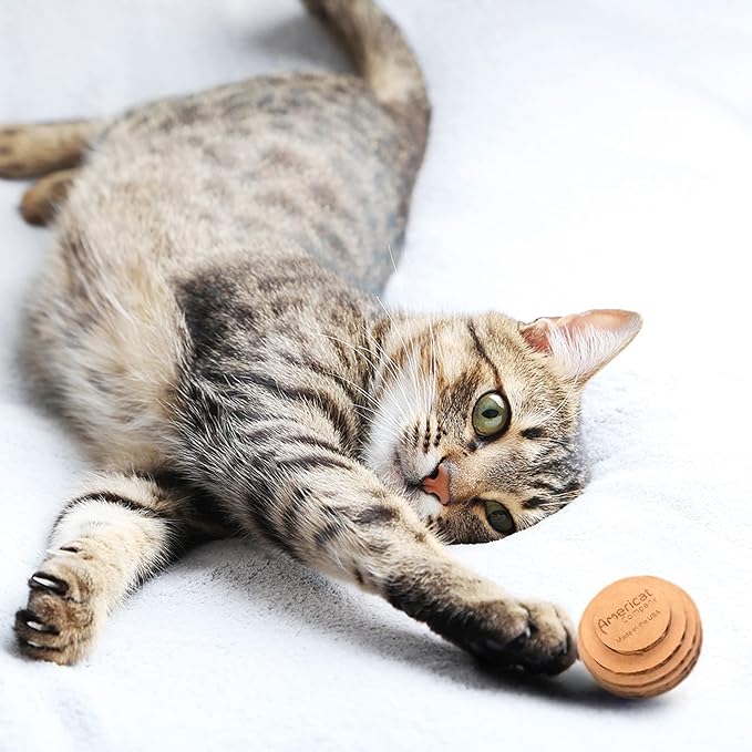 Cat Ball Toys by Americat – Made in USA – Safe Cardboard Cat Toys – for Interactive and Independent Play, Exercise & Stress Relief for All Breeds & Ages (Pack of 3 Round Balls)-PawvioPets