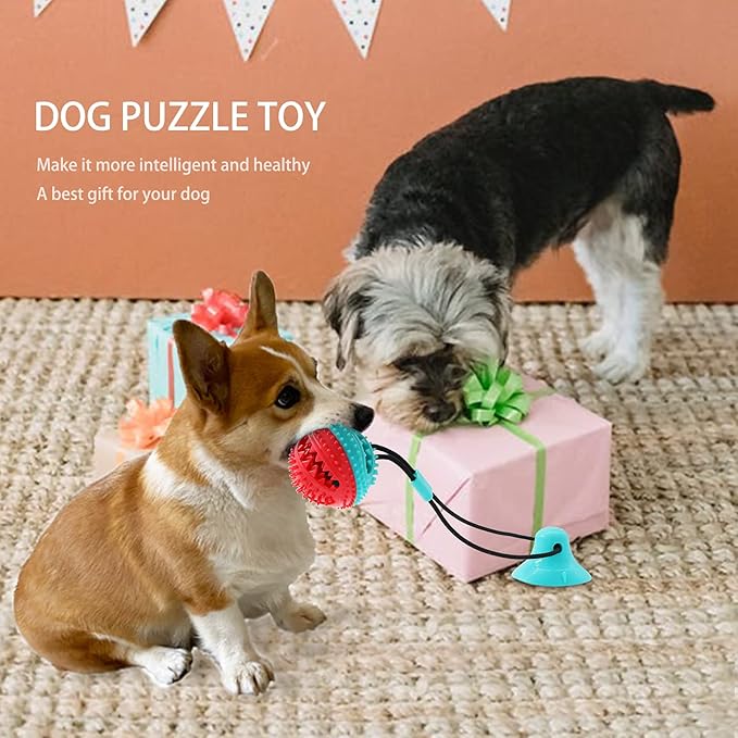 Dog Toys Dog Chew Toys for Aggressive chewers, Puppy Dog Training Treats Teething Rope Toys for Boredom Dog Puzzle Treat Food Dispensing Ball Toys for Puppies Teething (Blue)-PawvioPets