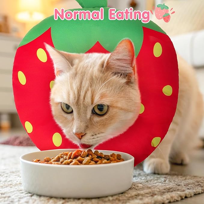 BEAUTYZOO Cat Cone Collars Soft, Cat Recovery E Collars After Surgery to Stop Licking, Adjustable Elizabeth Circle Collar Cute Pet Donut Pillow for Cats Kitten Small Dogs,Strawberry S-PawvioPets